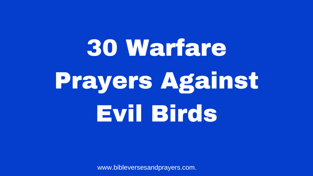 Warfare prayer against evil birds