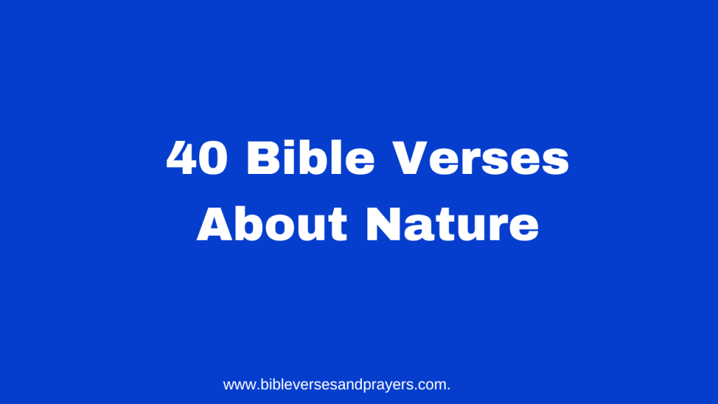 Bible Verses About Nature