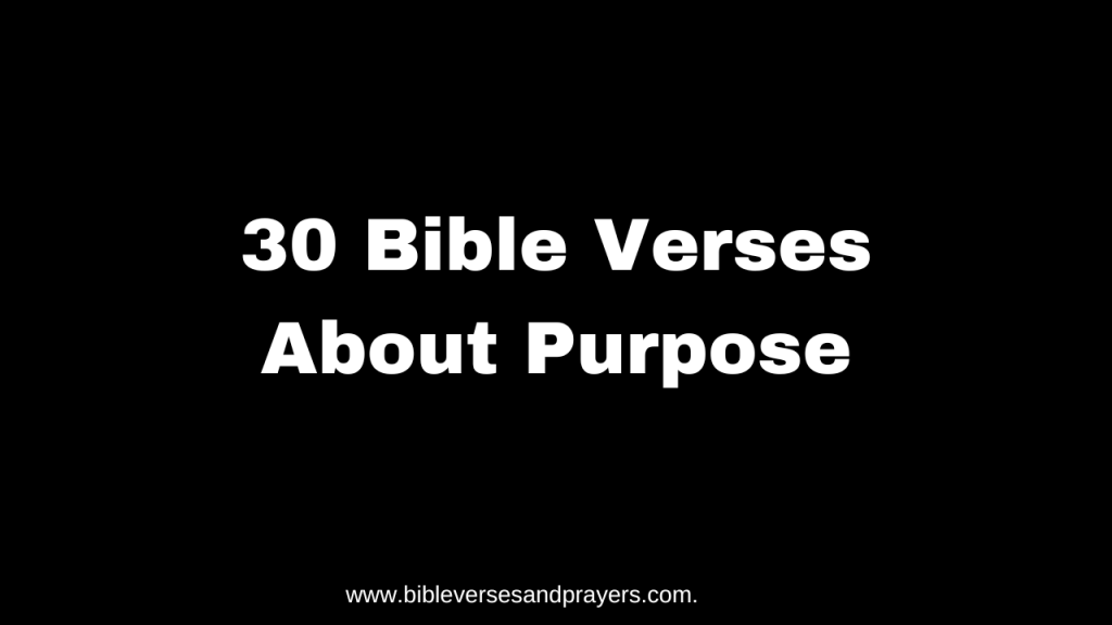 Bible Verses About Purpose