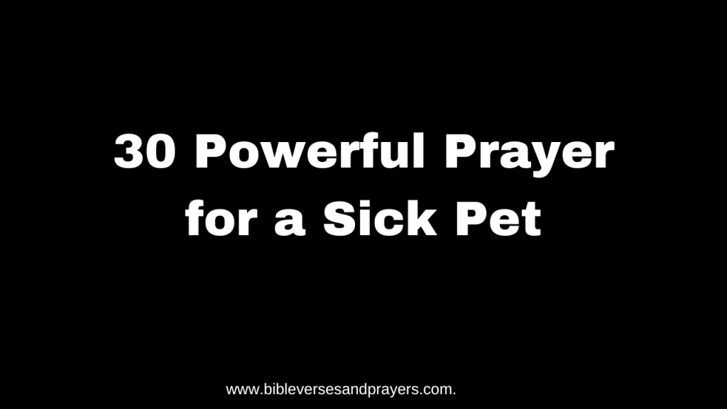 Powerful prayer for a sick pet