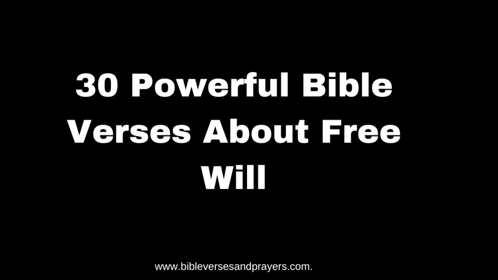 bible verse about free will