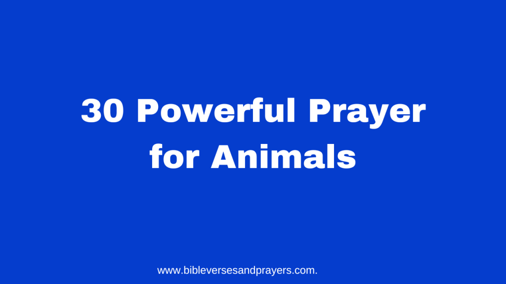 prayer for animals