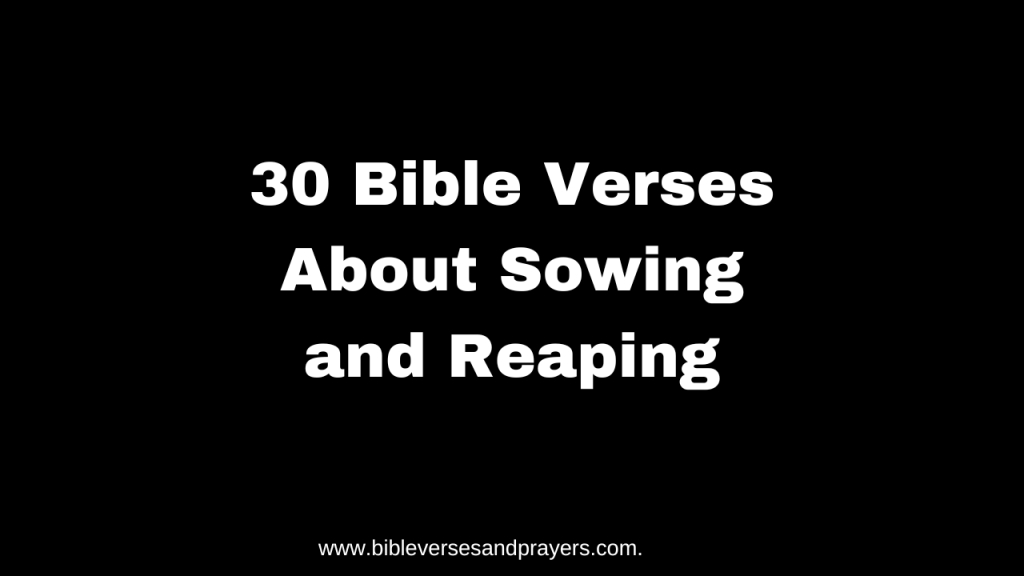 bible verses about sowing and reaping