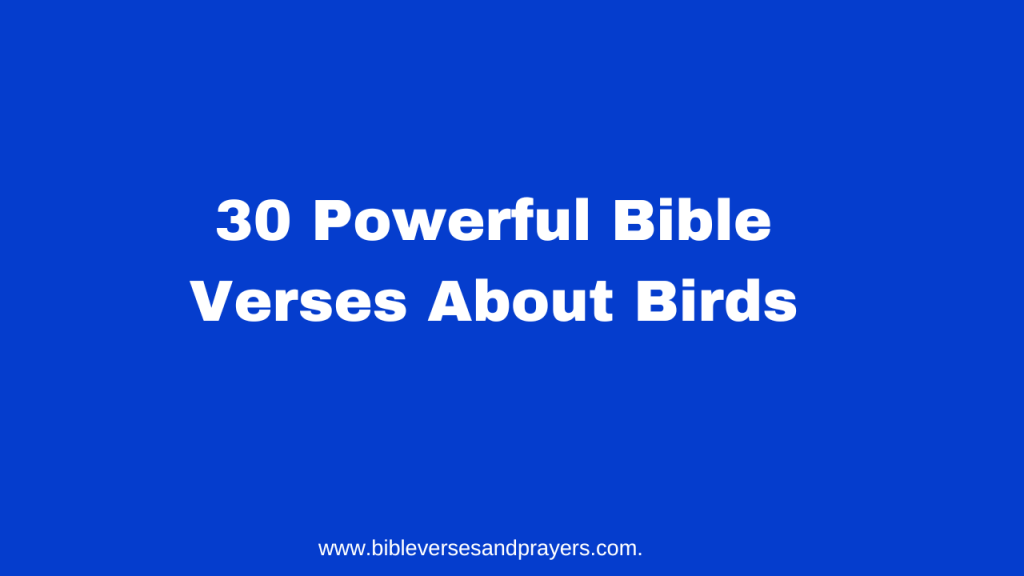 bible verses about birds